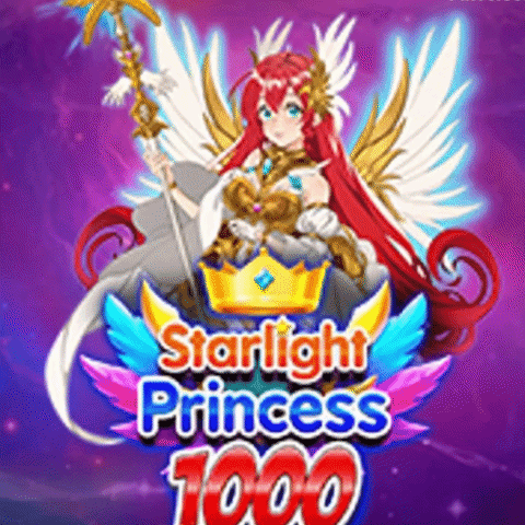 PRINCESS STARLIGHT 1000